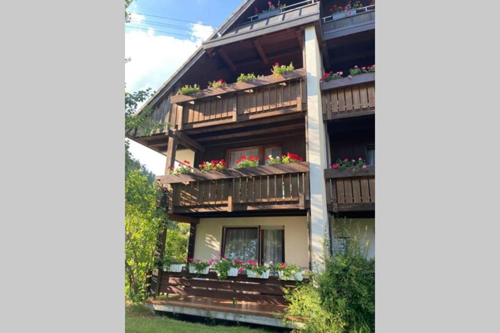 Gemütliche Ferienwohnung in Sankt Blasien Exterior foto