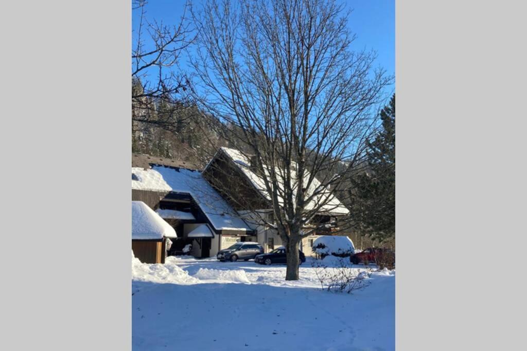 Gemütliche Ferienwohnung in Sankt Blasien Exterior foto