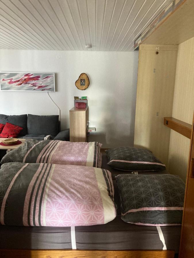 Gemütliche Ferienwohnung in Sankt Blasien Exterior foto